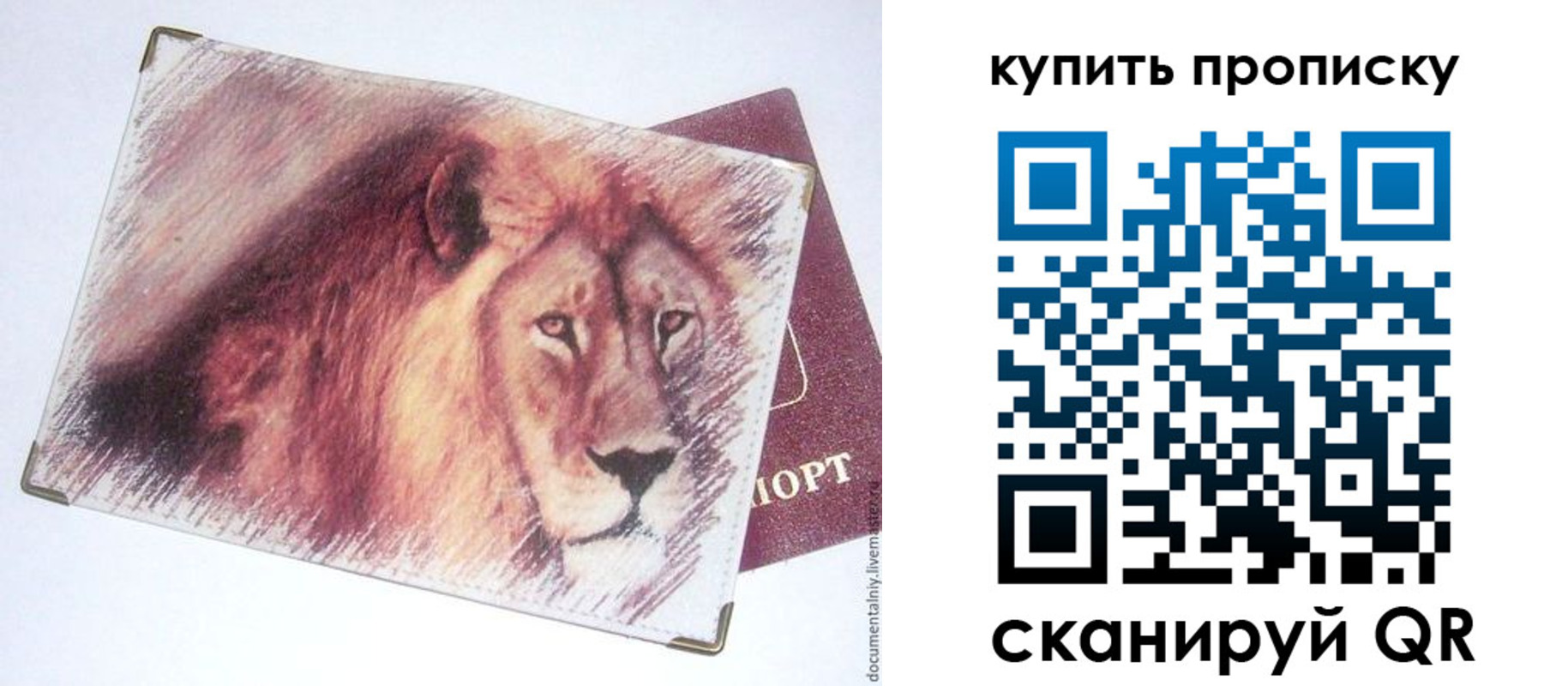 прописка паспорт в Каменке